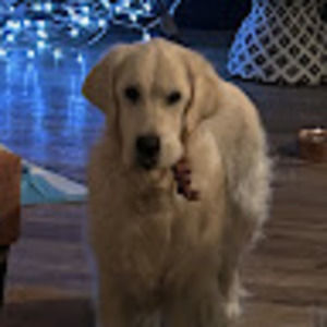 Meet your Posher, Johnna